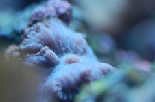 DSC_0025.jpg