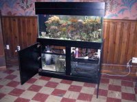 IMG_1858.jpg