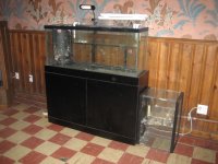 IMG_2559.jpg