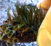 0219081225a.sized.jpg
