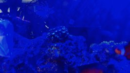 IMG_4952.jpeg