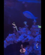 IMG_3284.jpeg