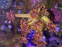 IMG_0864.jpeg