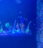 IMG_0937.jpeg