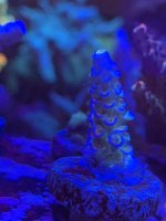 IMG_5167.jpeg