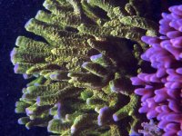 IMG_3523.jpeg