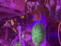 IMG_5277.jpeg