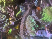 IMG_2623.jpeg