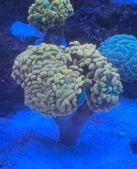 IMG_3605.jpeg