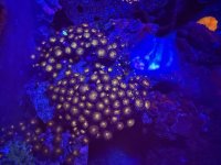 IMG_4088.jpeg