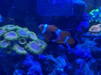 IMG_0656.jpeg