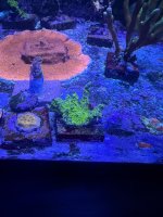 IMG_0072.JPEG