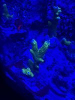IMG_0079.JPEG