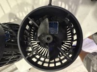 IMG_4408.jpeg