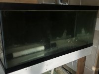 IMG_5567.jpeg