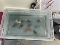 IMG_4057.jpeg