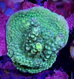 IMG_1794.jpeg