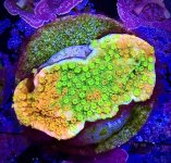 IMG_1648.jpeg