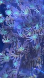 IMG_3089.jpeg