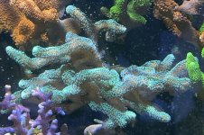 IMG_3055.jpeg