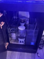 IMG_5439.jpeg