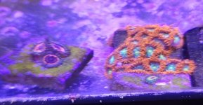 20250321_130812.jpg