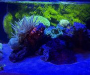 IMG_7093.jpeg