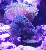 20250323_132217.jpg