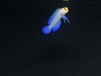 IMG_1790.jpeg