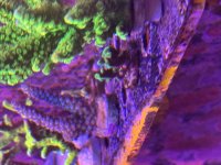 IMG_8602.jpeg