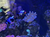 IMG_5801.jpeg
