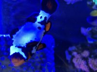 IMG_5799.jpeg