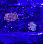 IMG_1567.jpeg