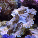IMG_1632.jpeg