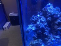 IMG_3115.jpeg