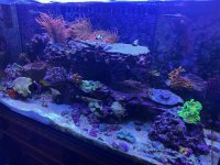 IMG_2409.jpeg