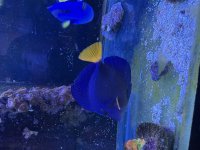 IMG_3546.jpeg
