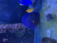 IMG_3545.jpeg