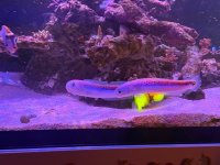 IMG_4345.jpeg