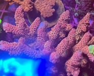 IMG_1025.jpeg