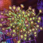 IMG_1316.jpeg