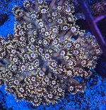 IMG_1317.jpeg