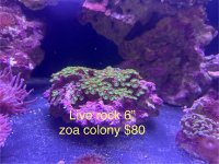 IMG_2337.jpeg