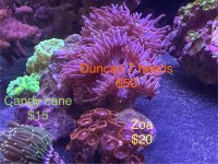 IMG_2333.jpeg