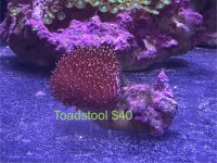 IMG_2331.jpeg