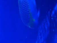 IMG_3035.jpeg