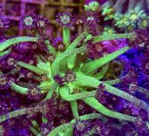 IMG_2586.jpeg