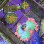 IMG_2702.jpeg