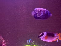 IMG_4477.jpeg