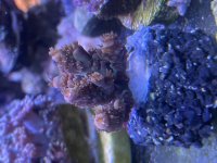 IMG_1482.jpeg